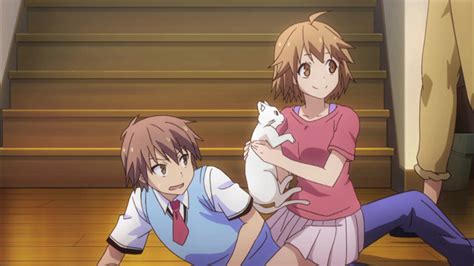 pet girl of sakura hall